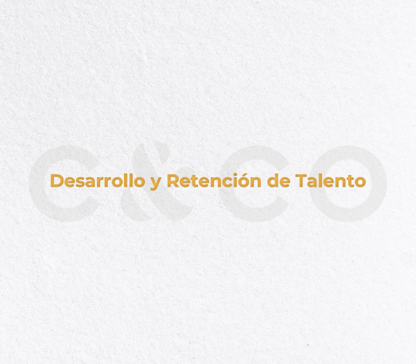 Desarrollo y Retención de Talento