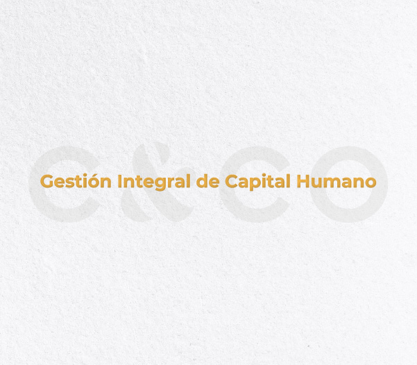 Gestión Integral de Capital Humano