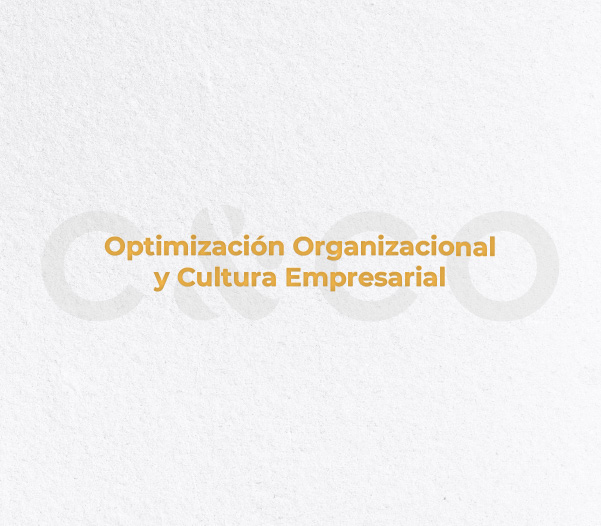 Optimización Organizacional y Cultura Empresarial