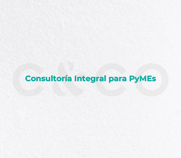Consultoría Integral para PyMES