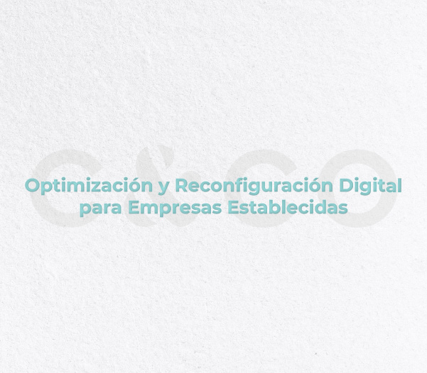 Optimización y Reconfiguración Digital para Empresas Establecidas